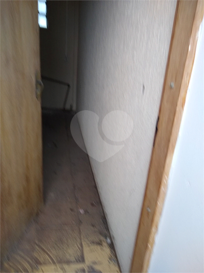 Foto REO1119508