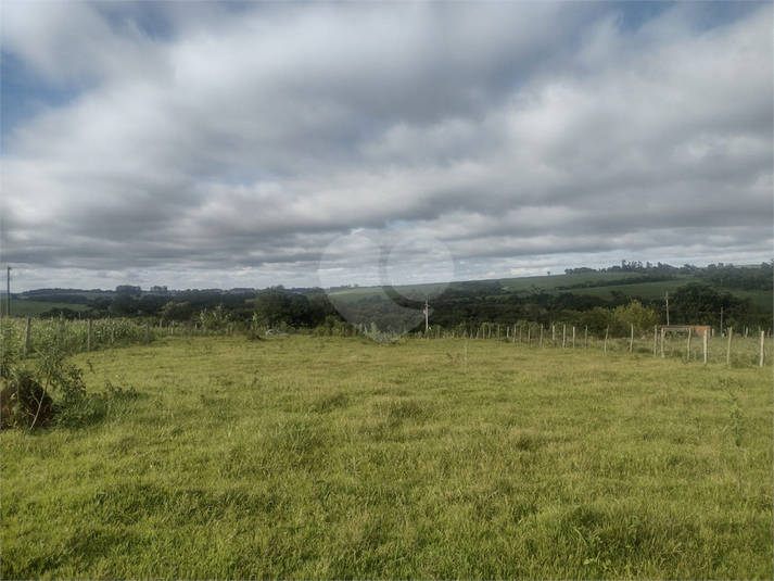 Foto REO1119510