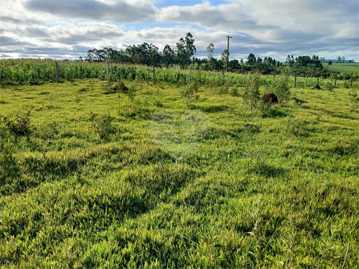 Foto REO1119510