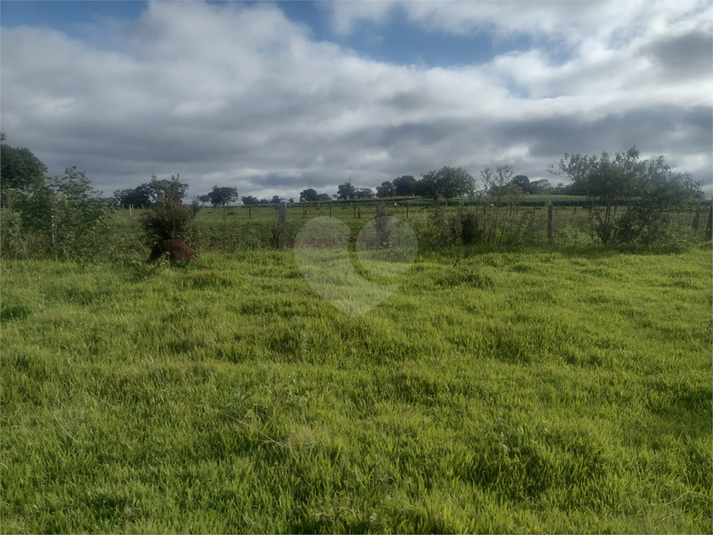 Foto REO1119510