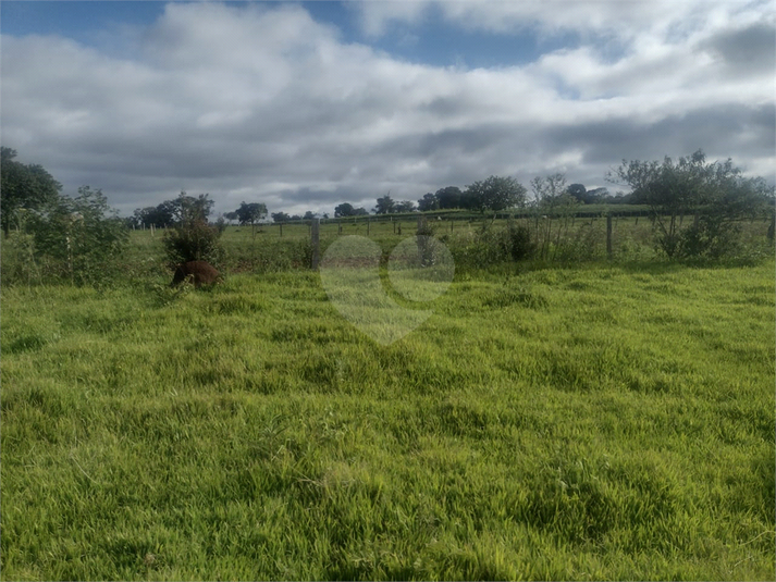 Foto REO1119510