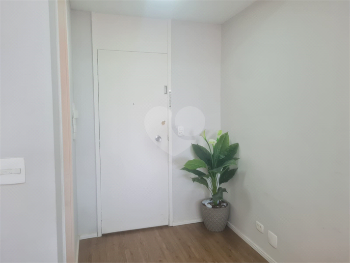 Foto REO1119517