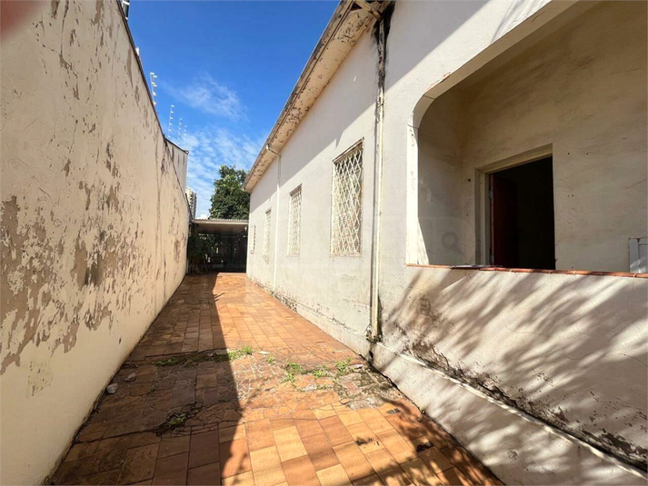Foto REO1119518