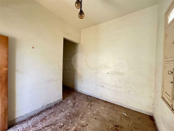 Foto REO1119518