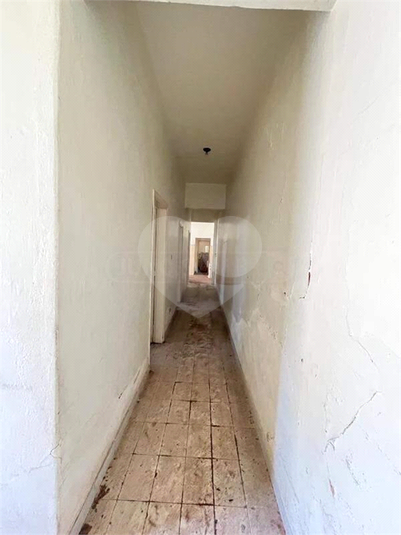 Foto REO1119518