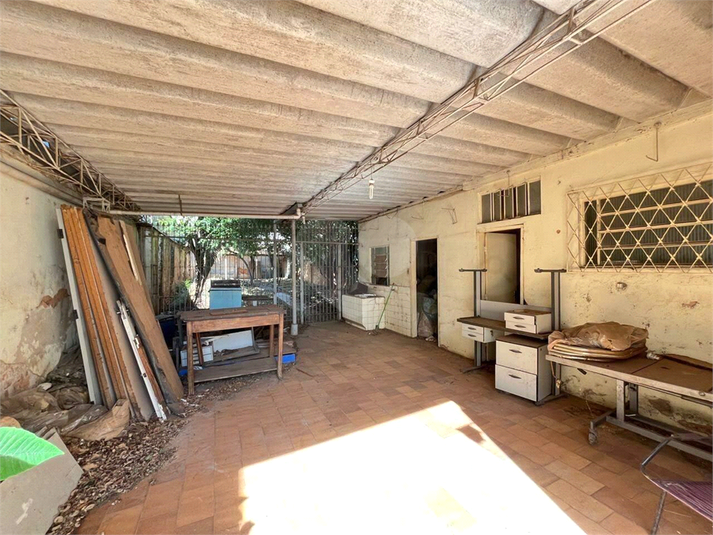 Foto REO1119518
