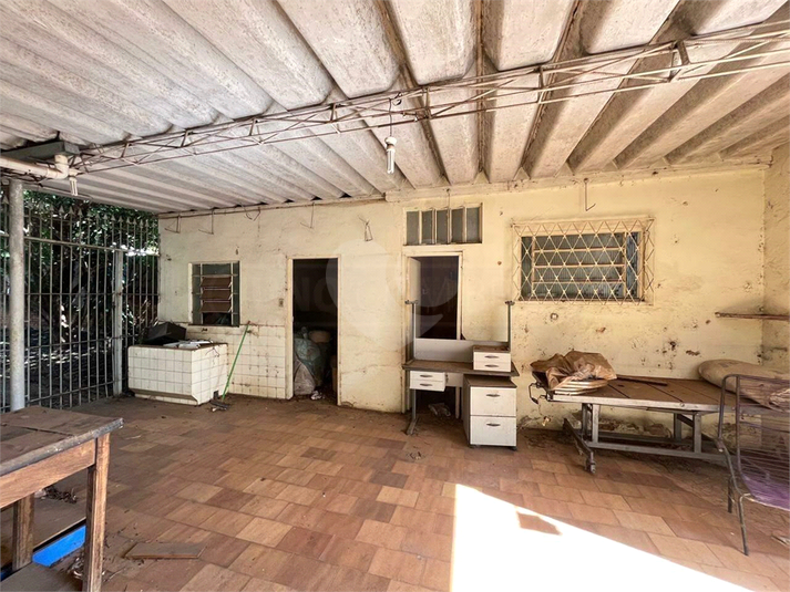 Foto REO1119518