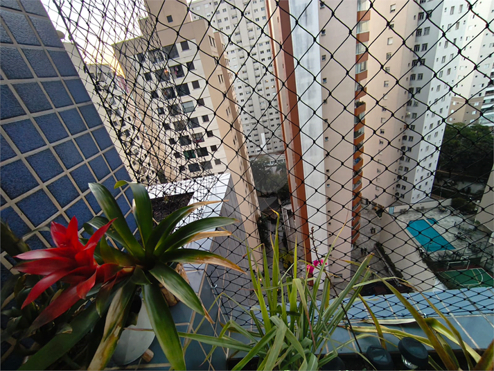 Foto REO1119523