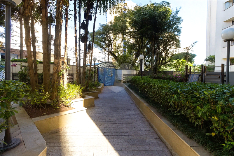 Foto REO1119523