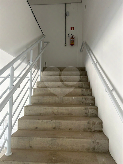 Foto REO1119526