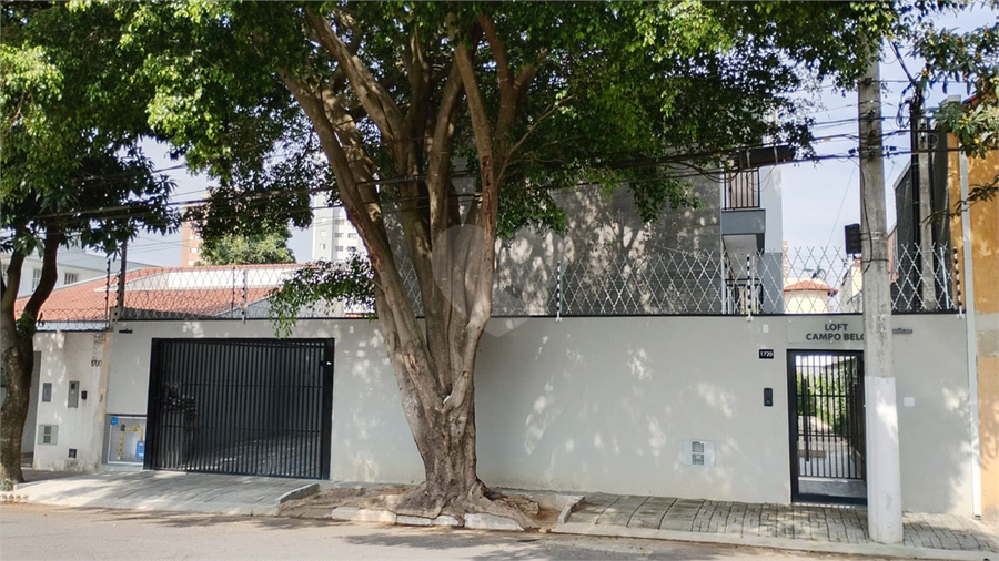 Foto REO1119542