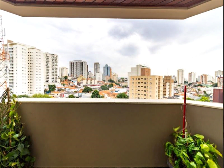 Foto REO1119547