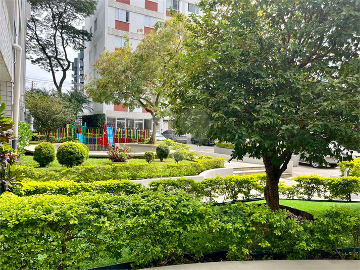Foto REO1119553