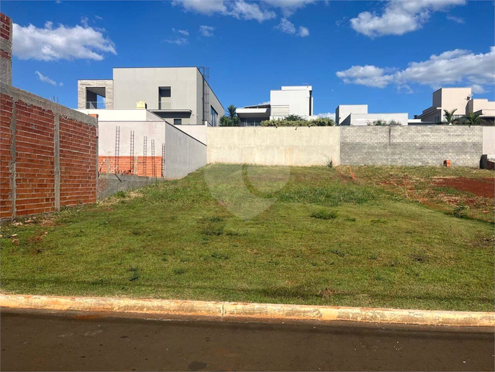 Foto REO1119559