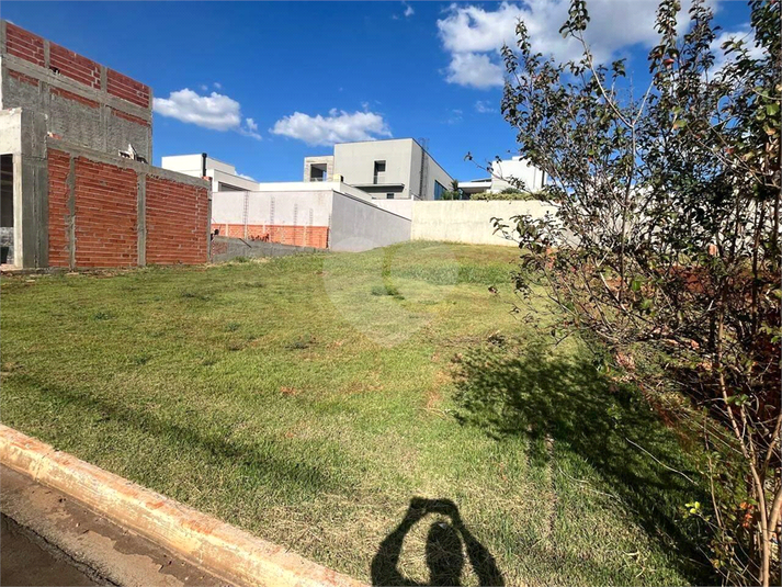 Foto REO1119559