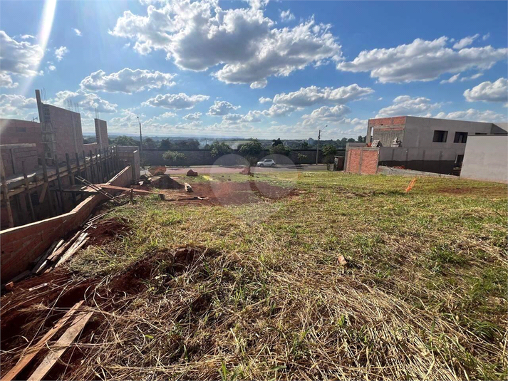 Foto REO1119559