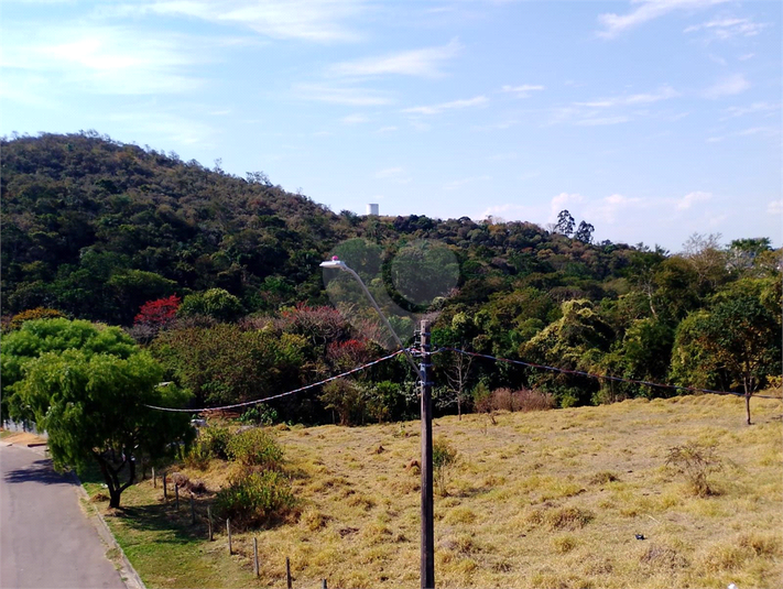 Foto REO1119574