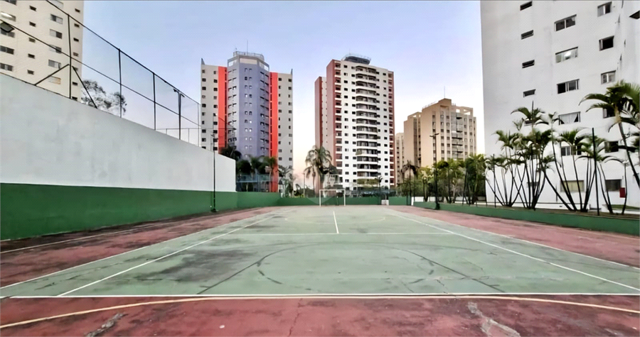 Foto REO1119577