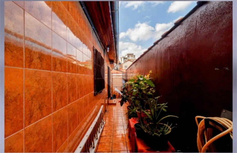 Foto REO1119578