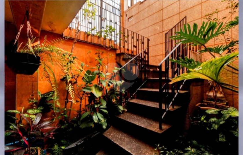 Foto REO1119578