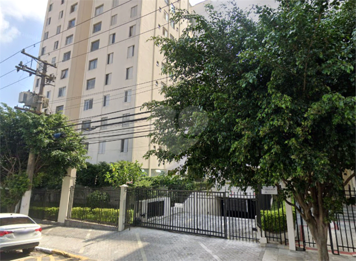 Foto REO1119579