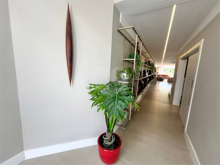 Foto REO1119589