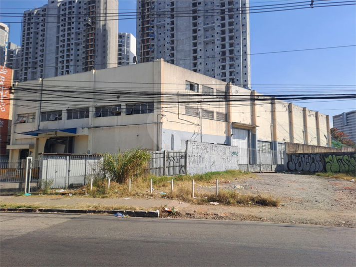 Foto REO1119595