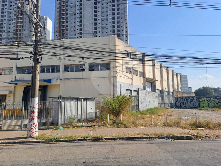 Foto REO1119595