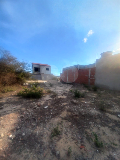 Foto REO1119596