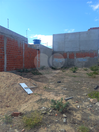 Foto REO1119596