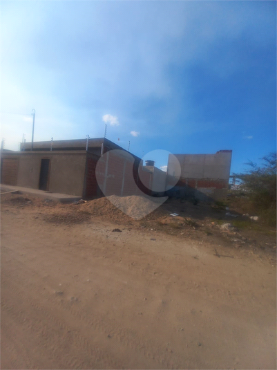 Foto REO1119596
