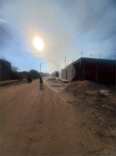 Foto REO1119596