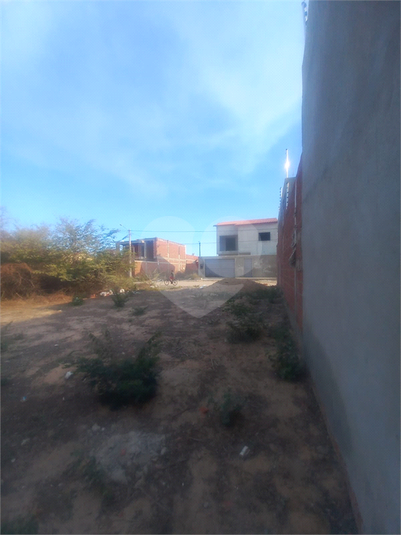 Foto REO1119596