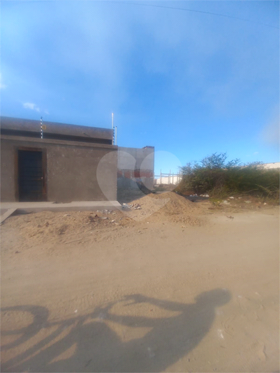 Foto REO1119596