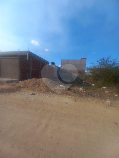 Foto REO1119596