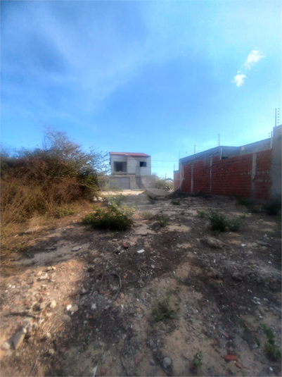 Foto REO1119596