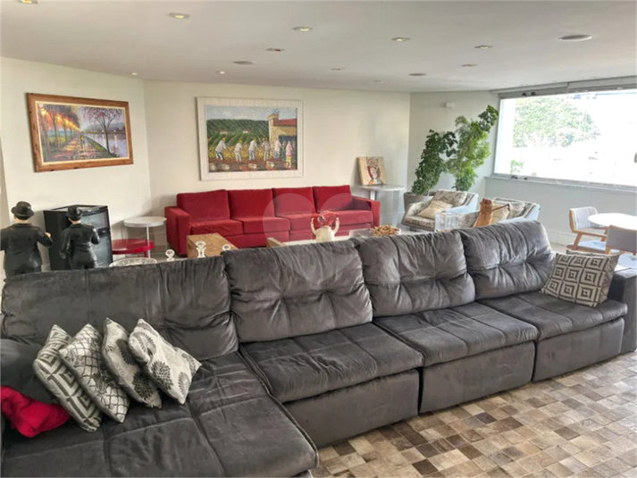 Foto REO1119599