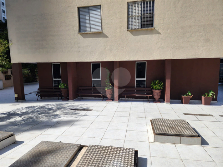 Foto REO1119606