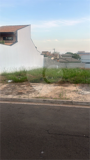 Foto REO1119614