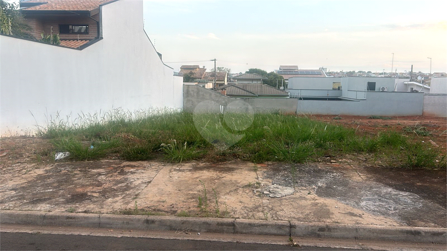 Foto REO1119614