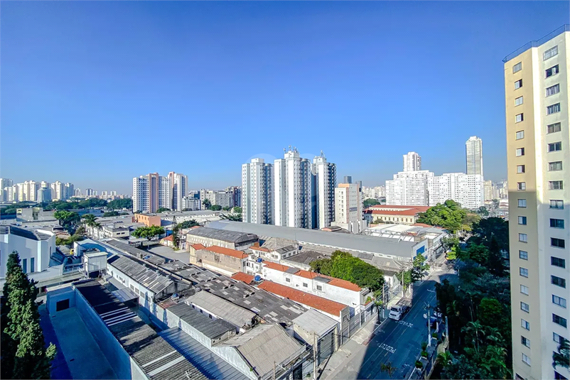 Foto REO1119616