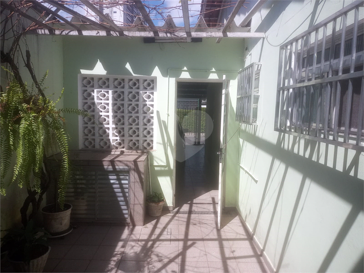 Foto REO1119618