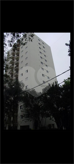 Foto REO1119625