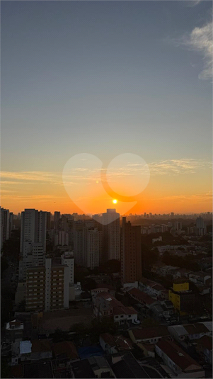 Foto REO1119638