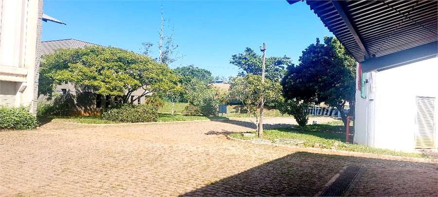 Foto REO1119647