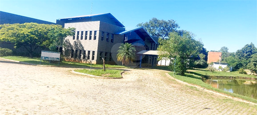 Foto REO1119647