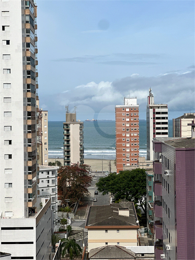 Foto REO1119649