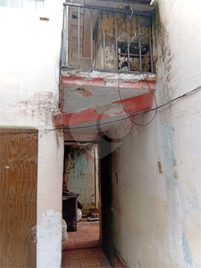 Foto REO1119651