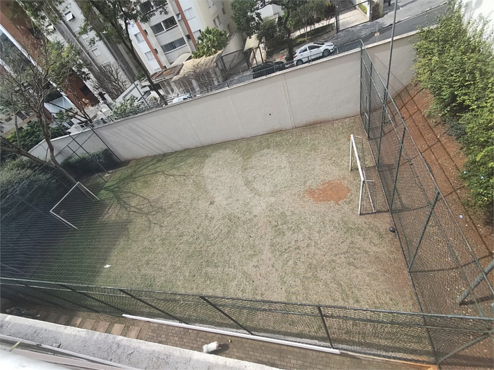 Foto REO1119661