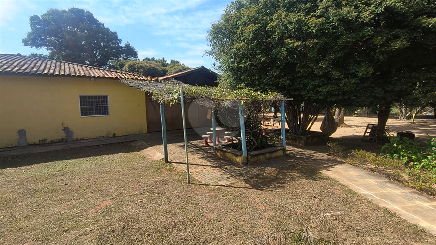 Foto REO1119663